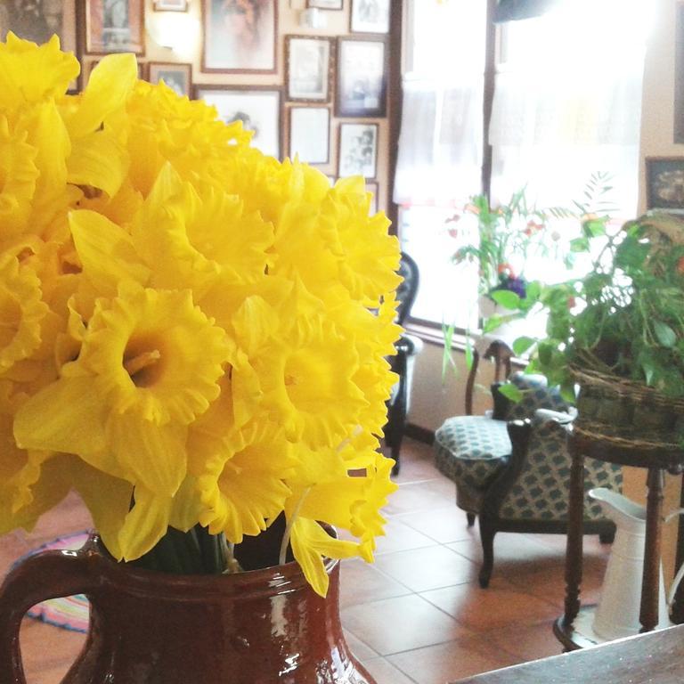 Hostal Santa Agueda Tarazona Bagian luar foto
